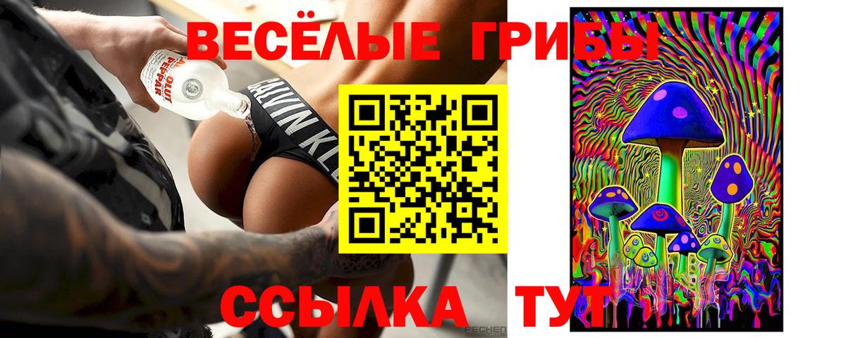 Галлюциногенные грибы GOLDEN TEACHER Зеленокумск