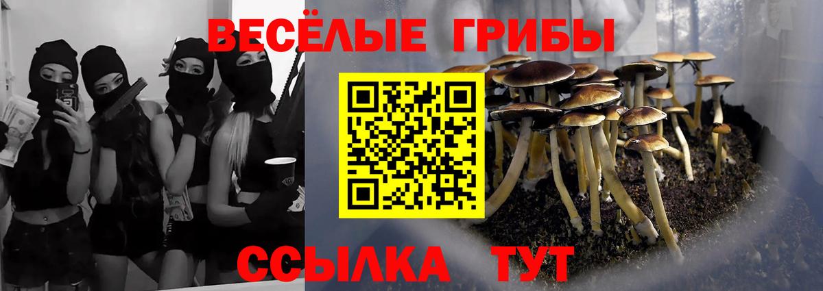 Галлюциногенные грибы мицелий  Галлюциногенные грибы MAGIC MUSHROOMS  Вход с VPN  Зеленокумск 